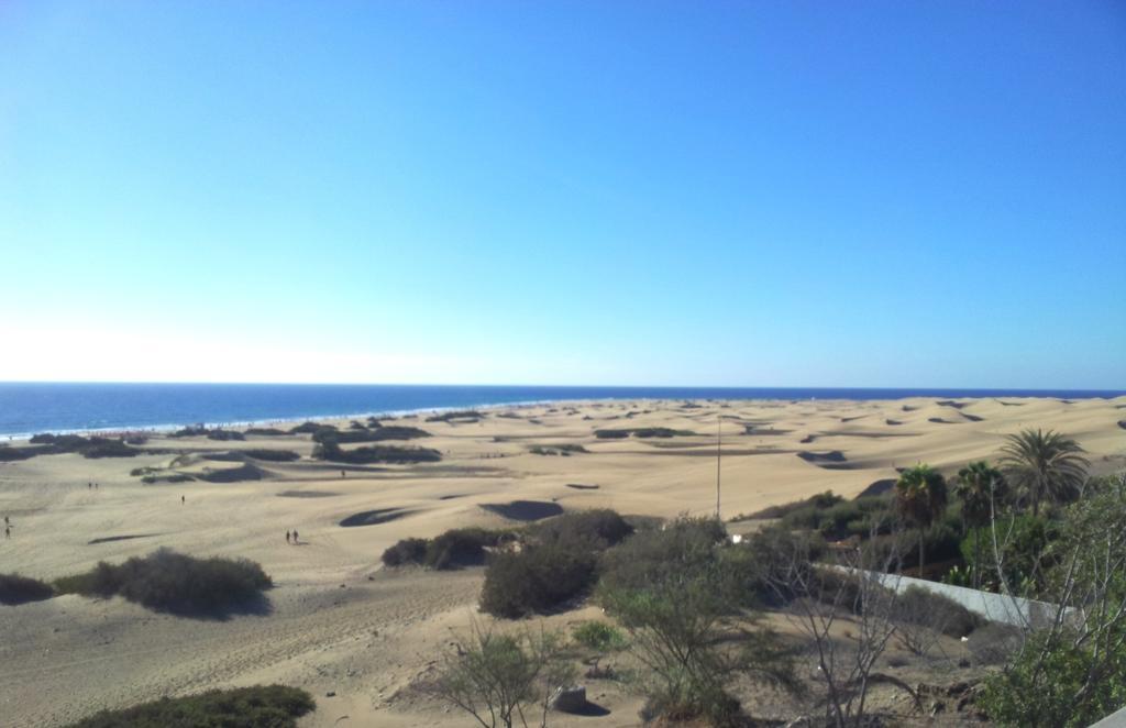 Apartamentos Patricio Playa del Inglés Habitación foto